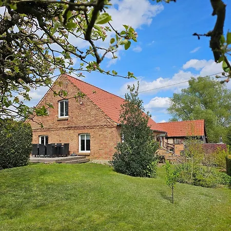 Ferienhaus-sommerfrische-am-mueritzsee * Buchholz (Mecklenburg-Vorpommern)